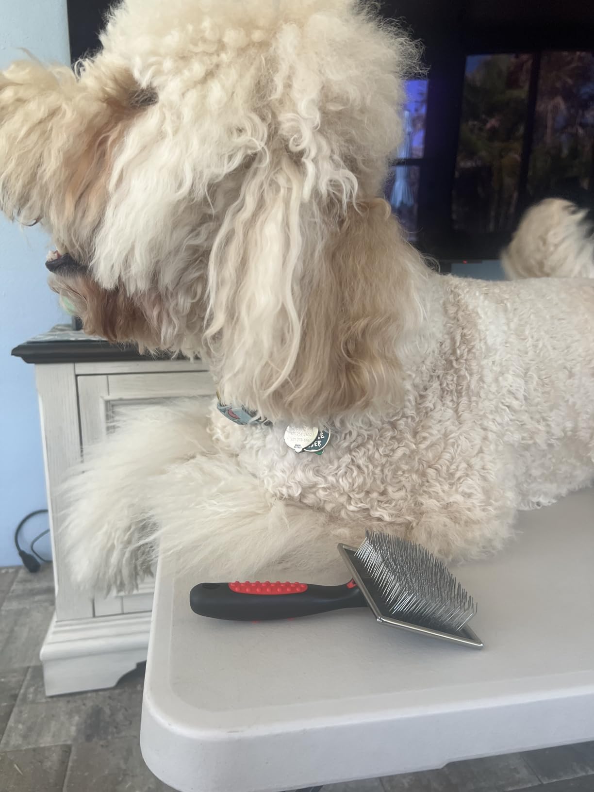 Paw Brothers Professional Grade Extra Long Slicker Brush - Ergonomic Handle, Removes Loose Undercoat and Tangles for Dogs customer photo 1