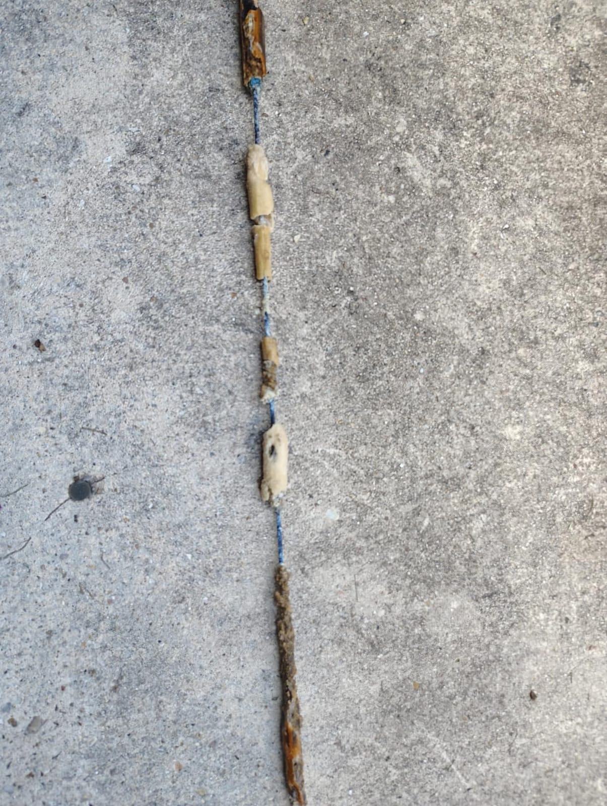 Corro-Protec Powered Anode Rod for Water Heater | 24-Hour Sulfur Smell Removal. Stops Corrosion & Reduces Sediment Buildup in Tank. 20-Year Warranty. WQA-Certified. customer photo 2