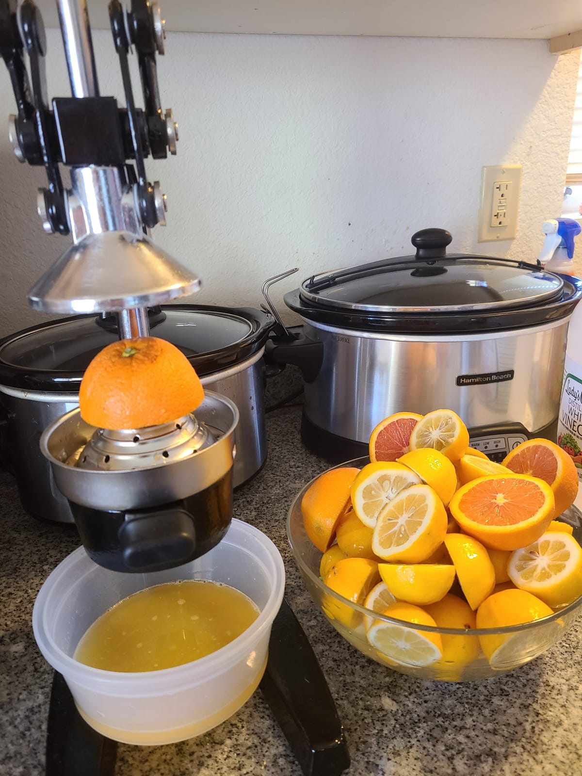 CO-Z Manual Citrus Juicer, Commercial Grade Cast Iron Orange Juicer, Professional Heavy Duty Juice Press with Removable Strainer, Manual Juice Extractor for Orange Lemon Pomegranate Citrus, Black customer photo 2