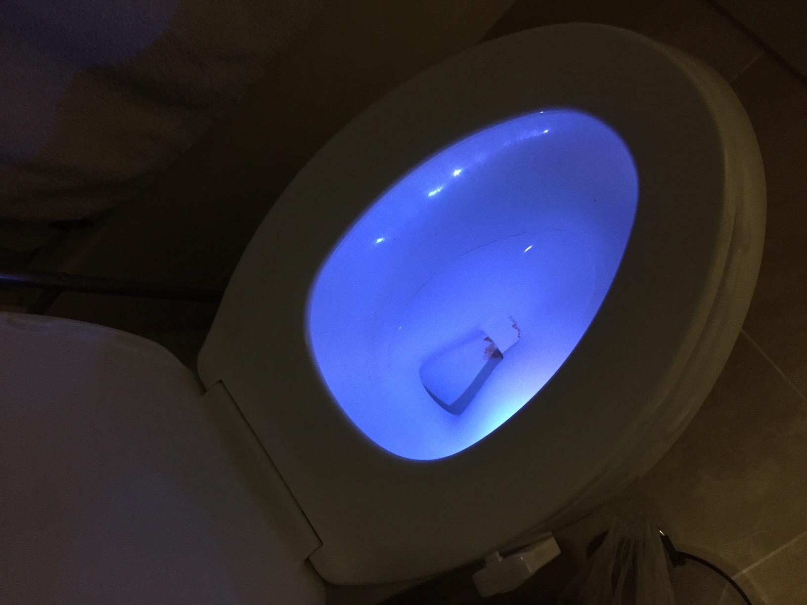 VINTAR Rechargeable Toilet Light Motion Sensor, LED Toilet Night Light | 16 Color Changing USB-C RGB Toilet Bowl Light, Toilet Light for Bathroom Accessories Decor, Funny & Unique Birthday Gift Idea customer photo 1