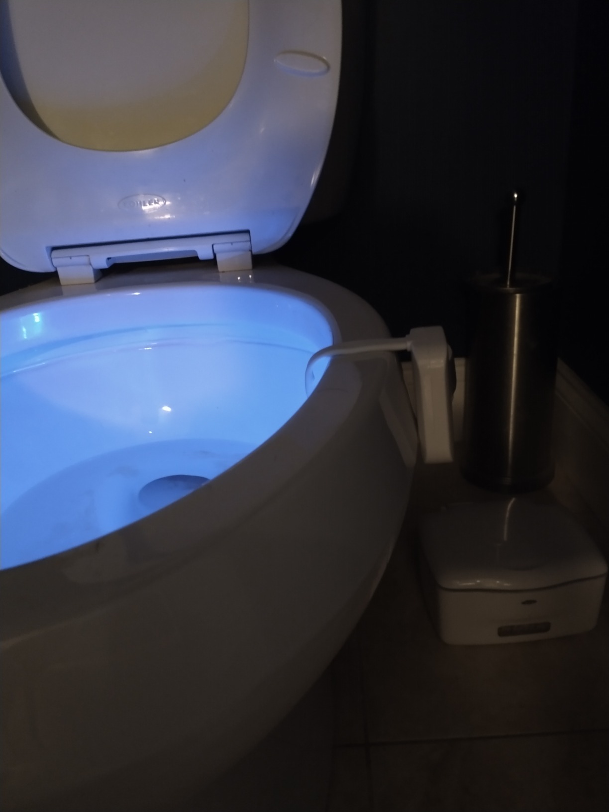 VINTAR Rechargeable Toilet Light Motion Sensor, LED Toilet Night Light | 16 Color Changing USB-C RGB Toilet Bowl Light, Toilet Light for Bathroom Accessories Decor, Funny & Unique Birthday Gift Idea customer photo 2