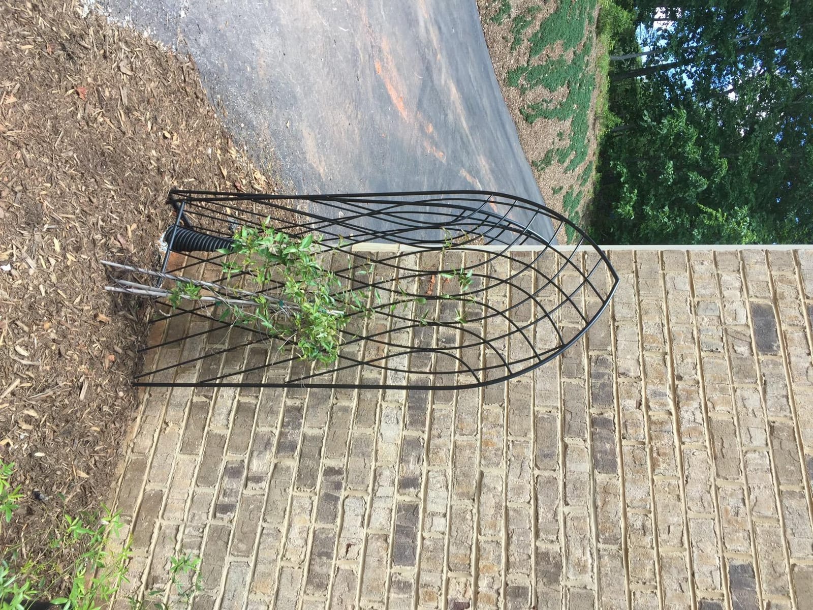 Amagabeli 4 Pack Garden Trellis for Climbing Plants Outdoor 46