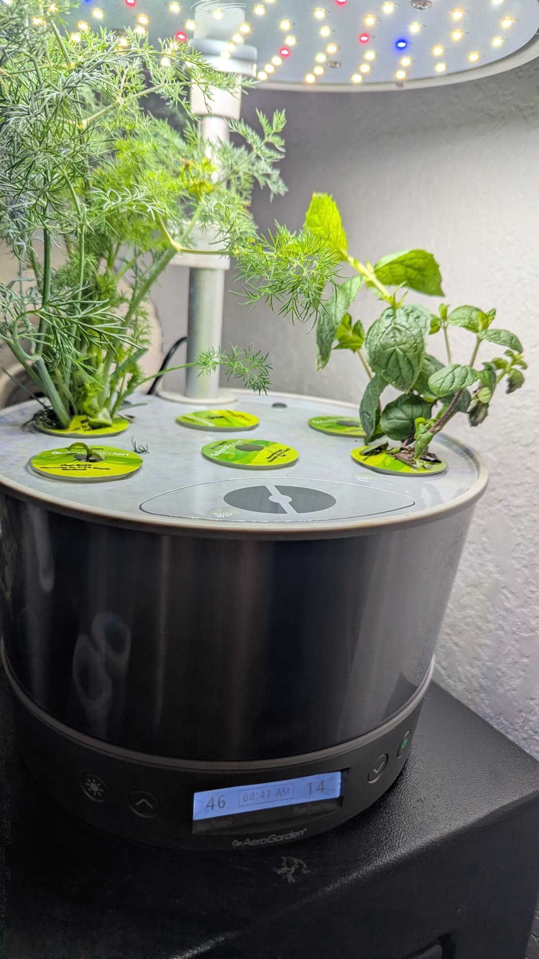 AeroGarden Harvest Elite 360, Platinum Stainless customer photo 2