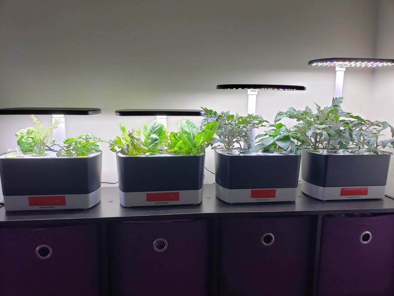 AeroGarden Harvest Indoor Garden Hydroponic System with LED Grow Light customer photo 1