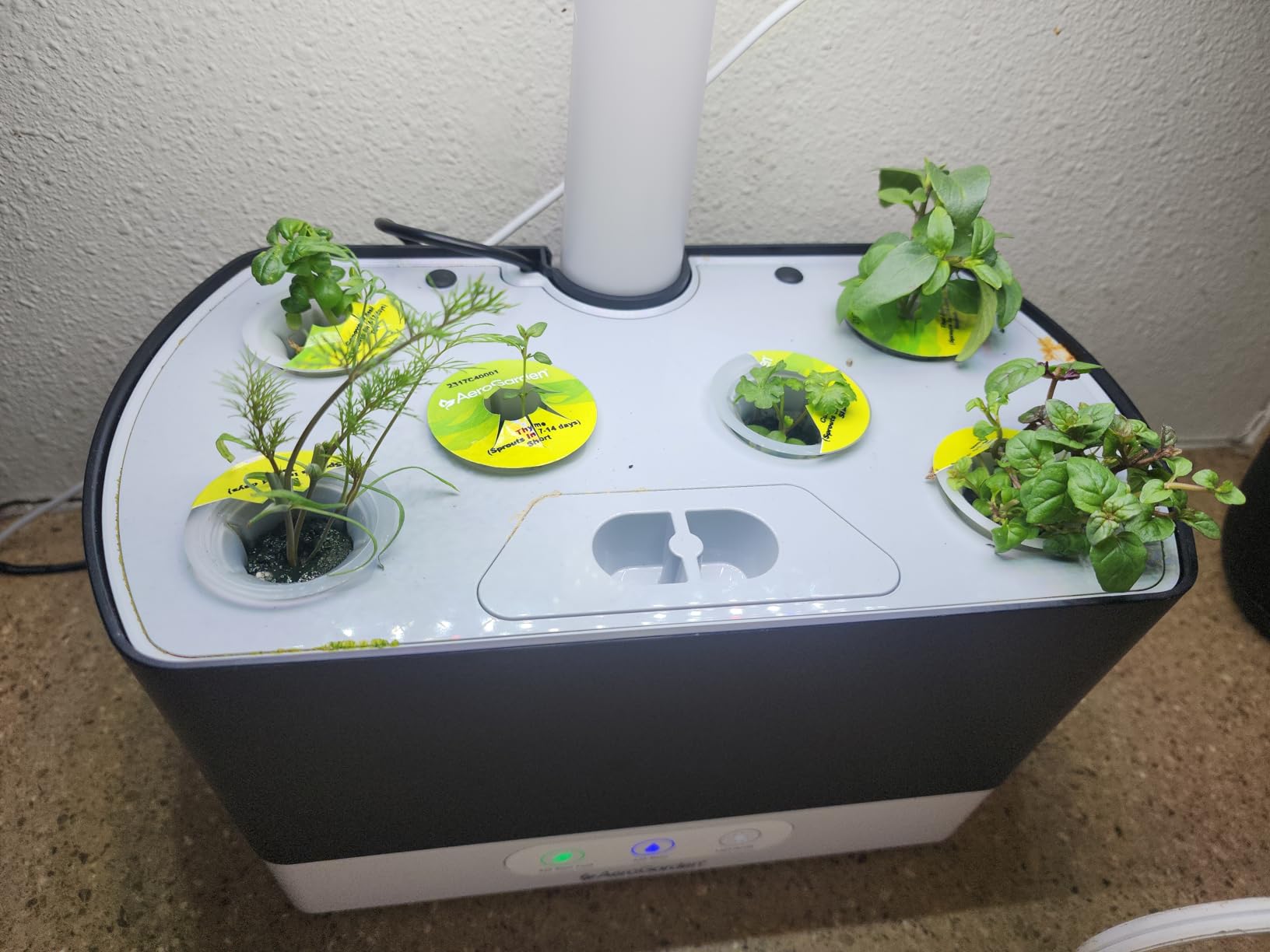 AeroGarden Harvest Indoor Garden Hydroponic System with LED Grow Light customer photo 2