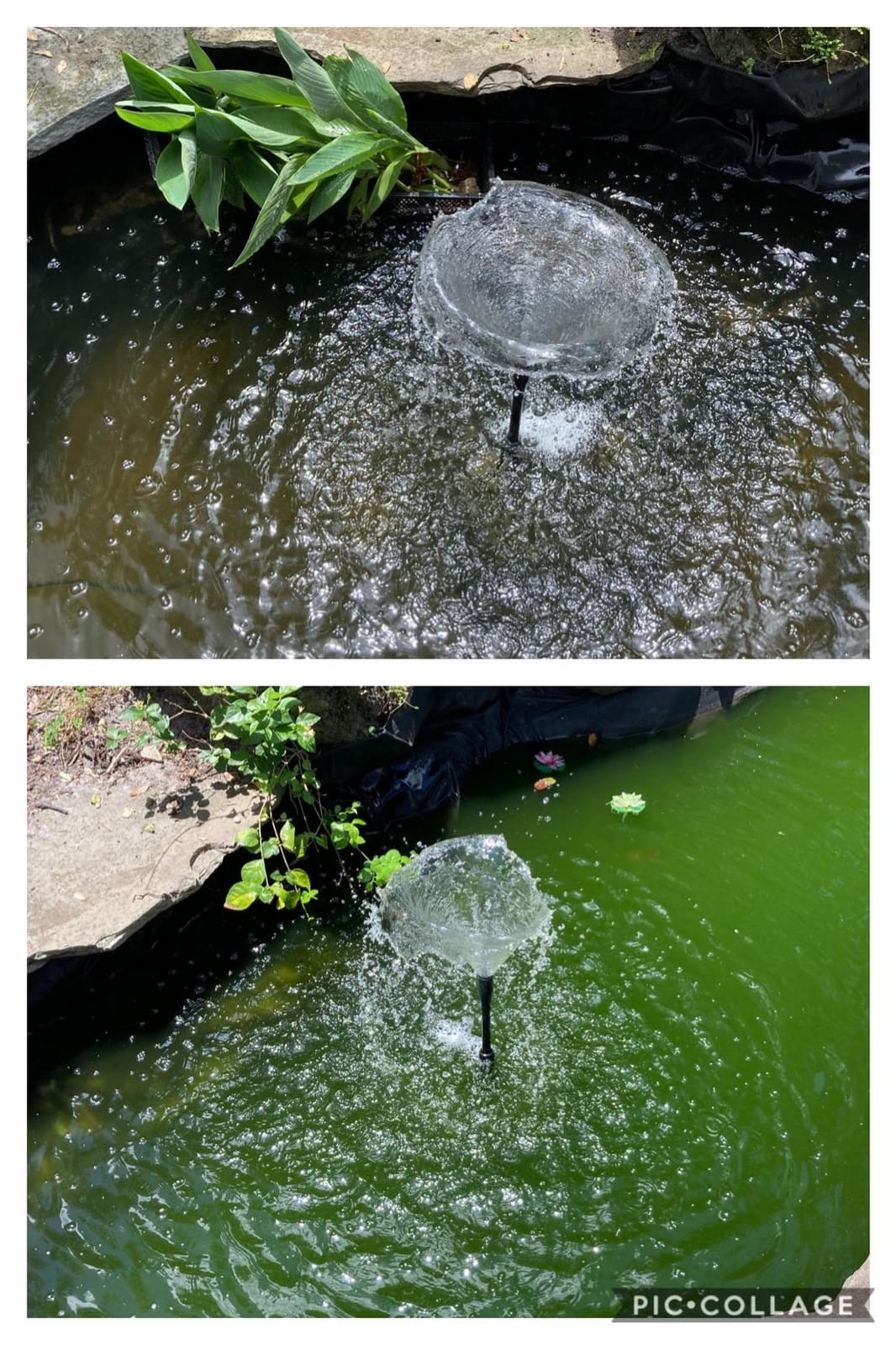 Jebao UFP-2000 Pond Filter System, 13W UV Clarifier, 530 GPH Pump customer photo 1