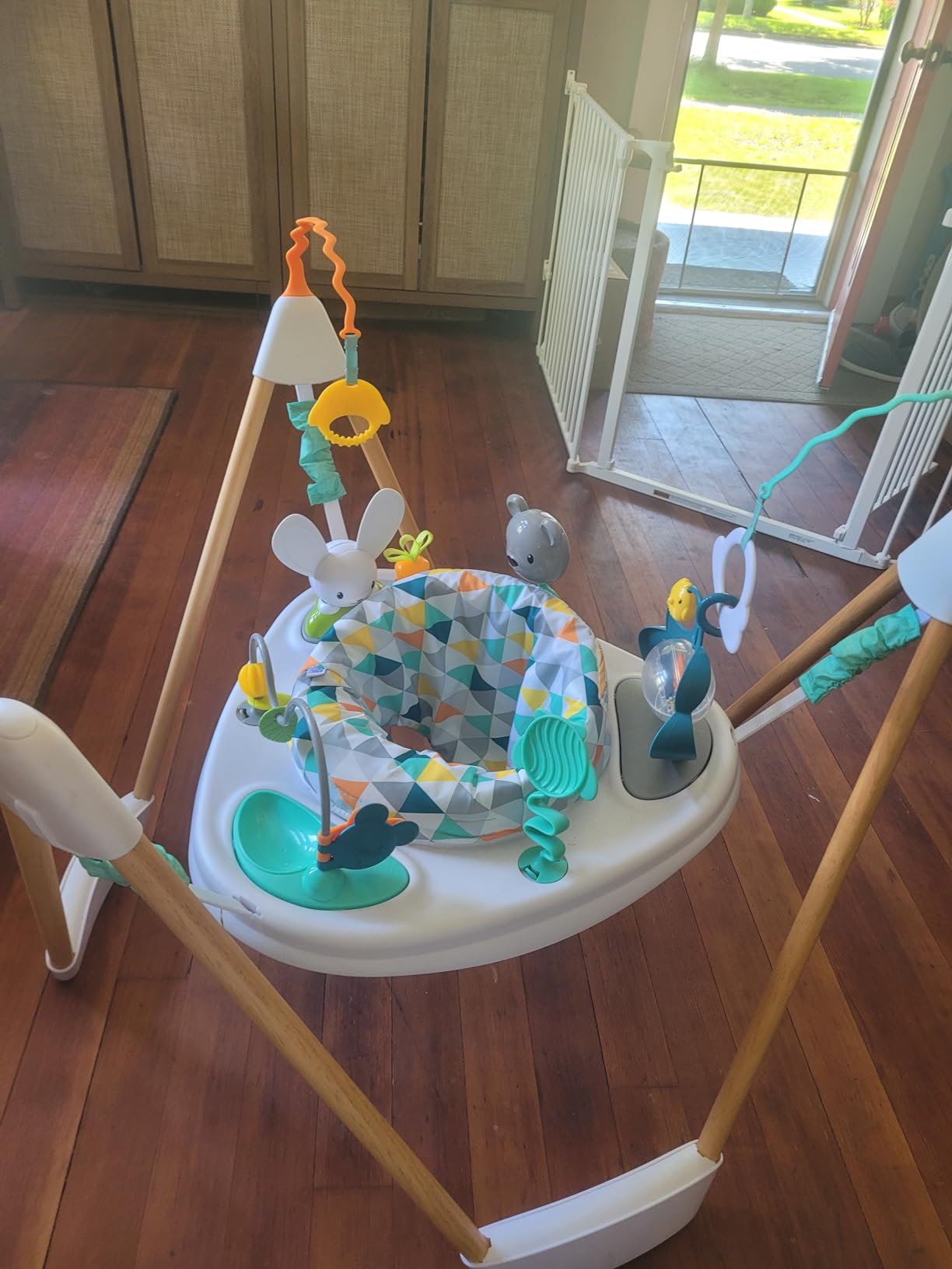 Evenflo Exersaucer Wood Frame Jumper, Woodland Wonder customer photo 2