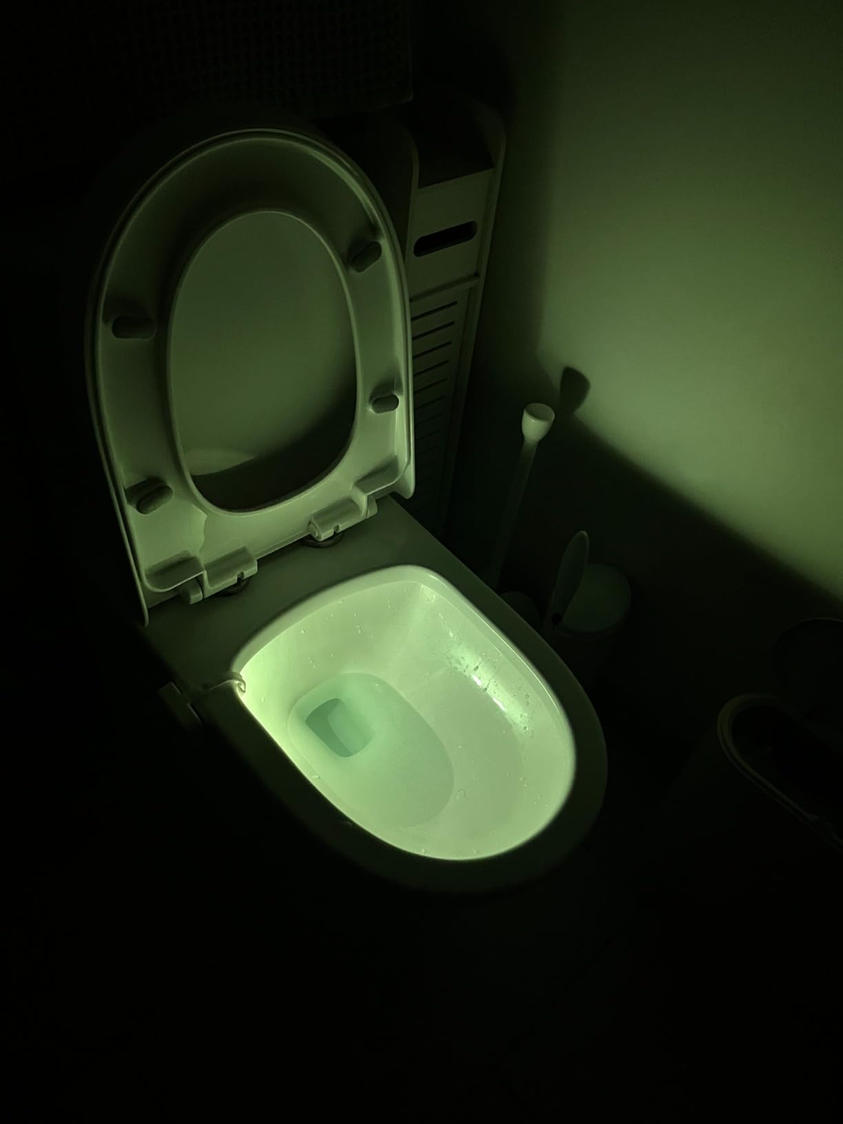 Chunace Toilet Light Motion Sensor for Bathroom, Funny Gag Gifts | 16 Color LED Night Light, Cool White Elephant Stuff for Adults, Unique & Unusual Stocking Stuffer Gadgets for Men customer photo 1