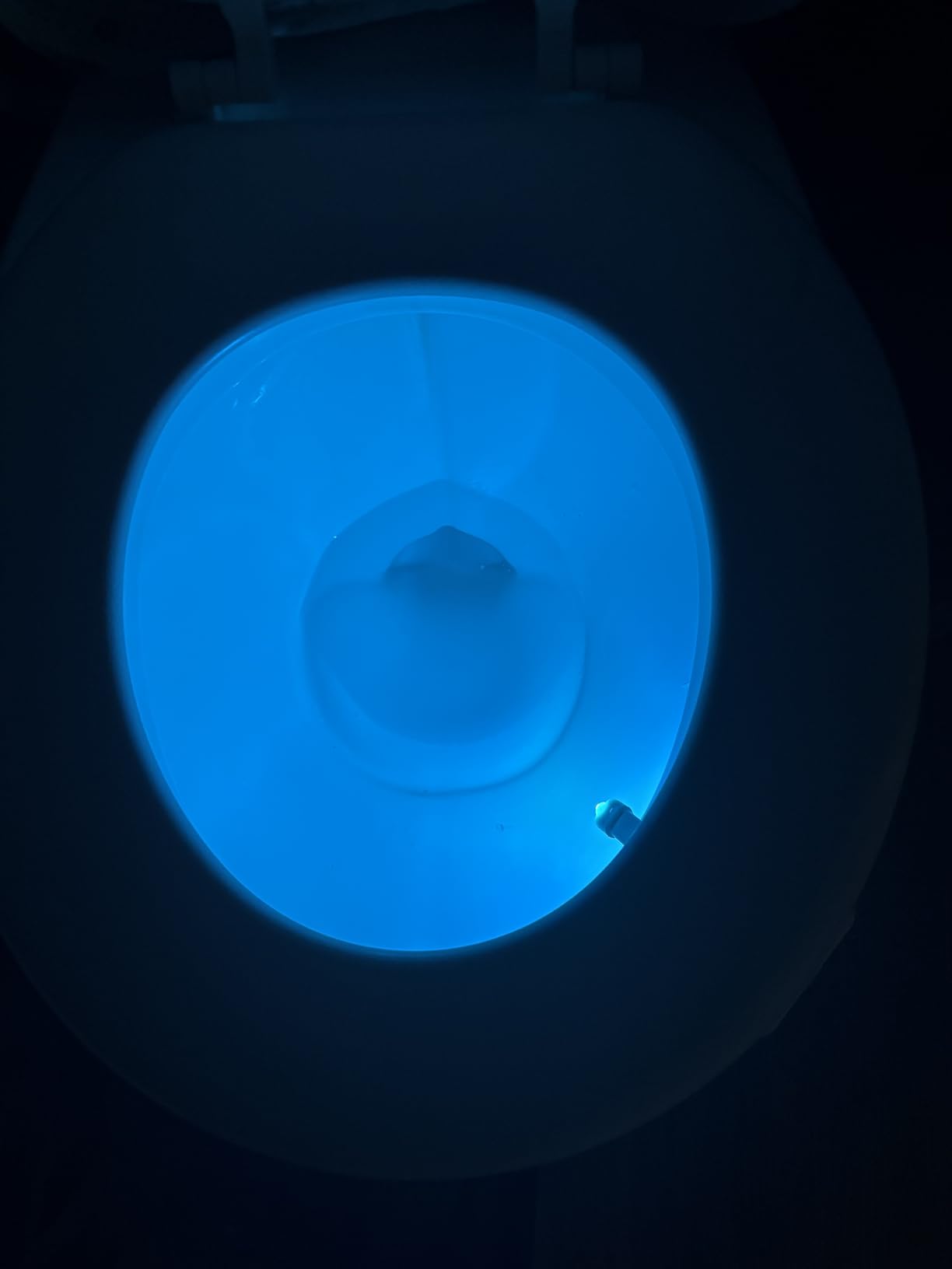 Chunace Toilet Bowl Night Light Motion Sensor 2 Pack, Funny Bathroom Stuff | 16-Color LED Night Light Motion Activated Inside Toilet Bowl, Useful Stuff for Kids & Seniors Safety, Cool Gadgets for Men customer photo 2