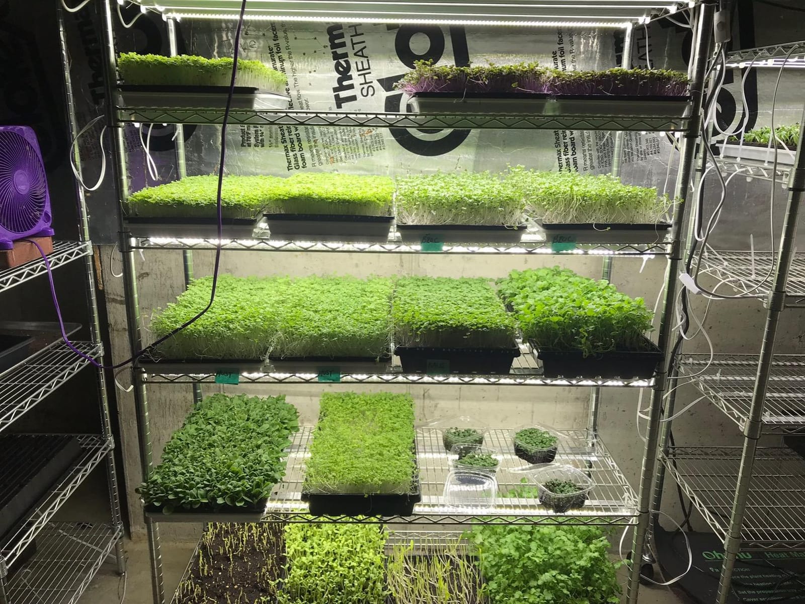 Bootstrap Farmer Microgreen Mesh 1.25