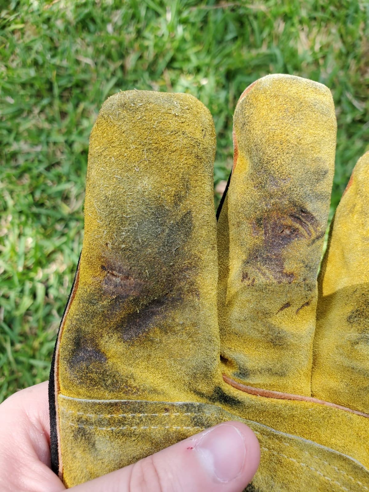 Welding Gloves, 1112°F Heat/Fire Resistant/Leather Forge Gloves, with Kevlar Stitching String, 16 inches Extra Long Sleeve and Fireproof Hook and Loop Tape,fit for Mig/Tig customer photo 1