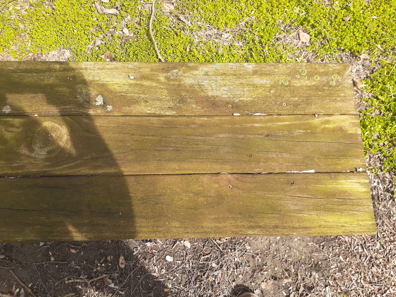 CRAFTSMAN Electric Pressure Washer, Cold Water, 1900 -PSI, 1.2-GPM, Corded (CMEPW1900) customer photo 1