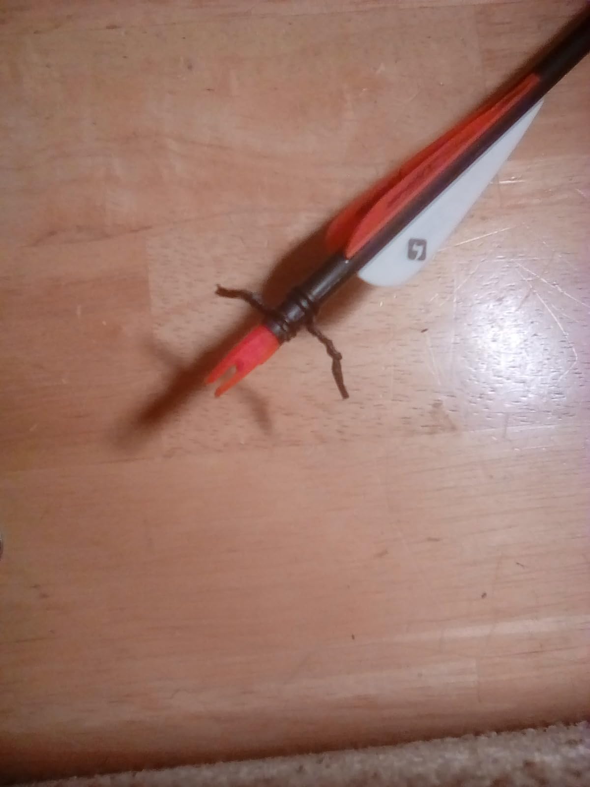 TIGER ARCHERY 30