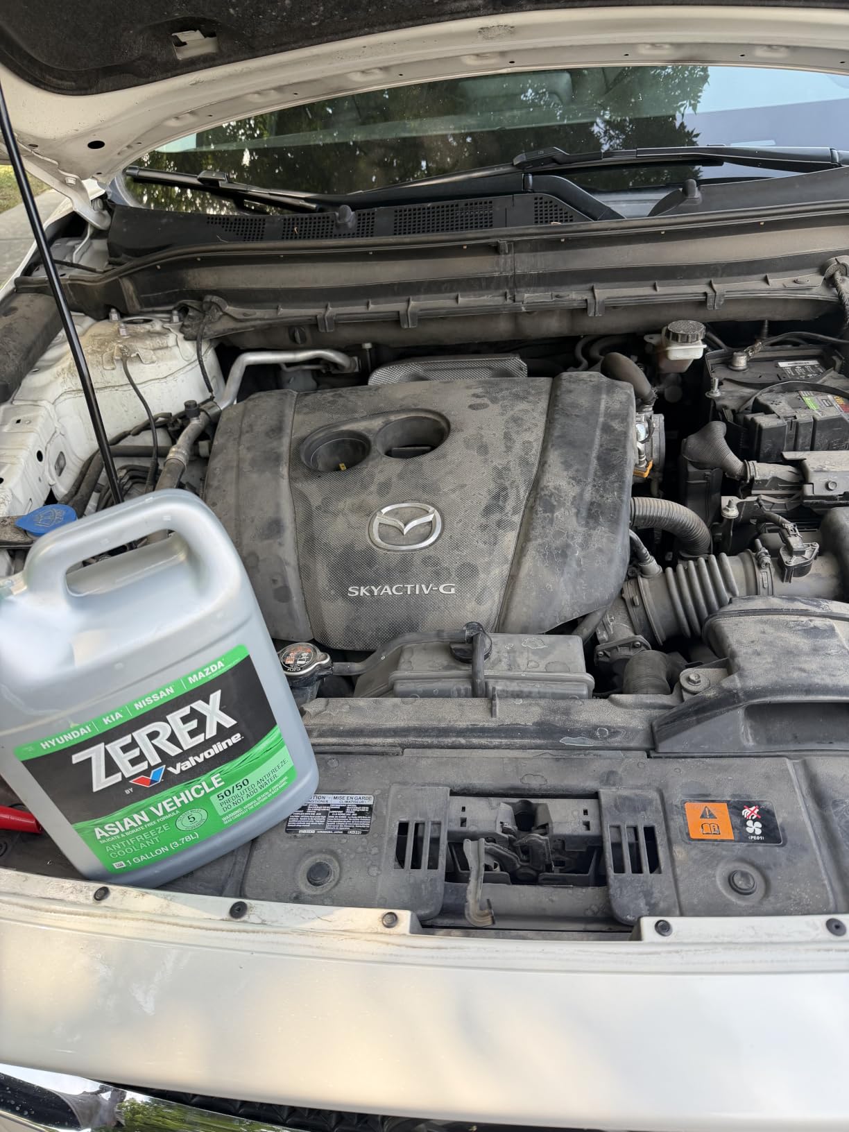 Zerex Asian Vehicle Green 50/50 Ready-to-Use Antifreeze Coolant 1 Gallon customer photo 2