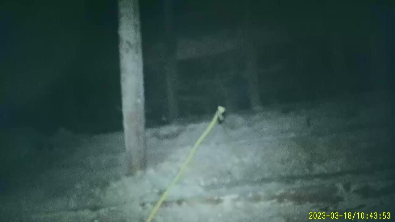 Ferret Pro Wireless Inspection Camera Will See & Reach Where You can’t. Electrical, HVAC, Dryer Vent, Home Inspection, Chimney, Pest Control. 720p Streaming, Rechargeable, Built-in WiFi Hotspot customer photo 1