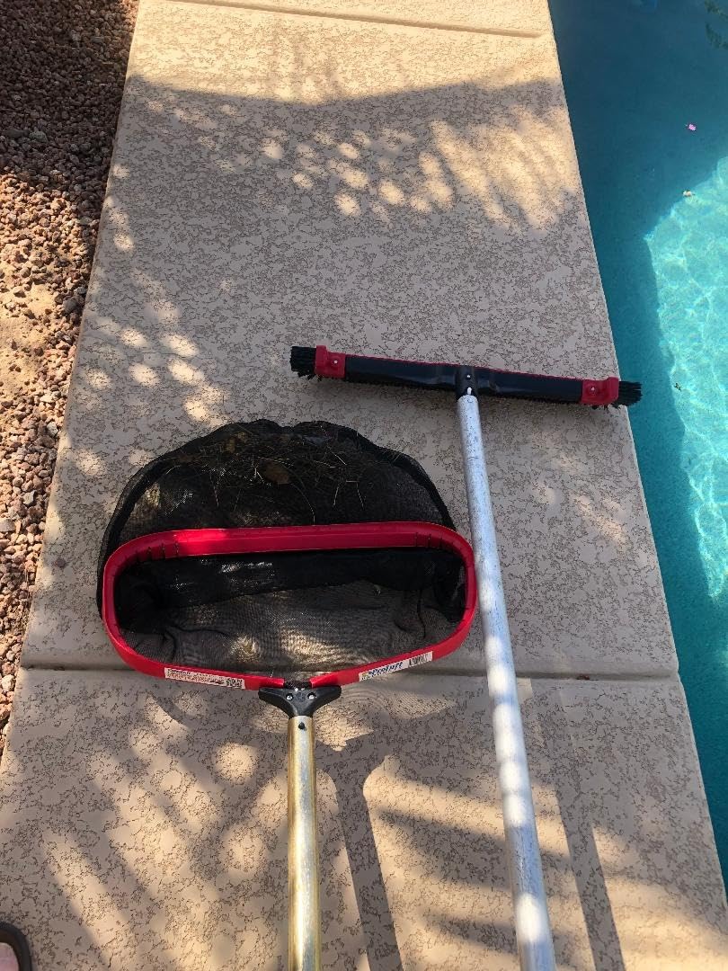 ProTuff 490 Promise 22in Pool Brush, Algae Scrubber for Walls & Steps customer photo 1