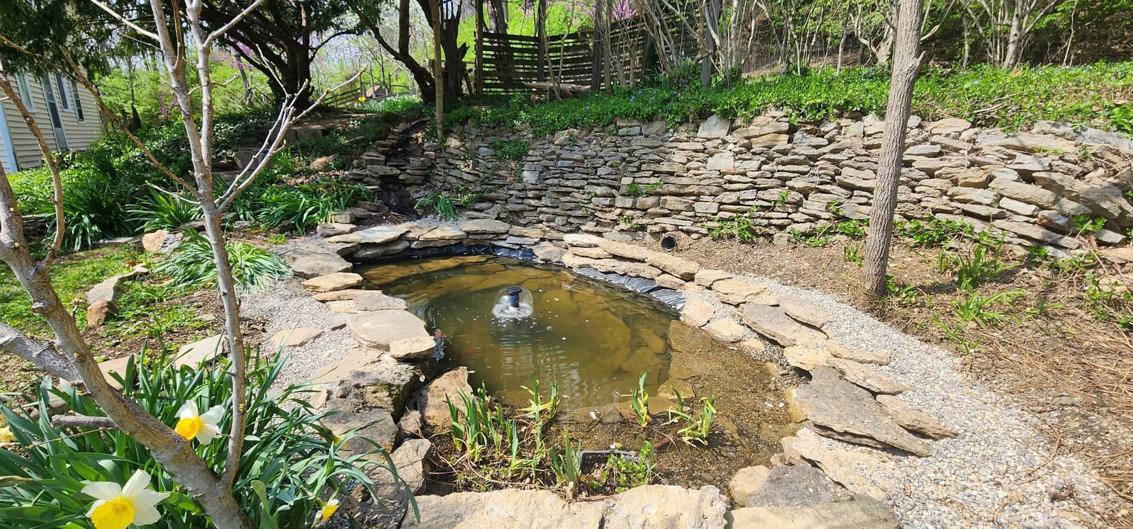 ANBULL All-in-One Pond Filter Fountain Kits,950 GPH Pond Water Pump customer photo 2