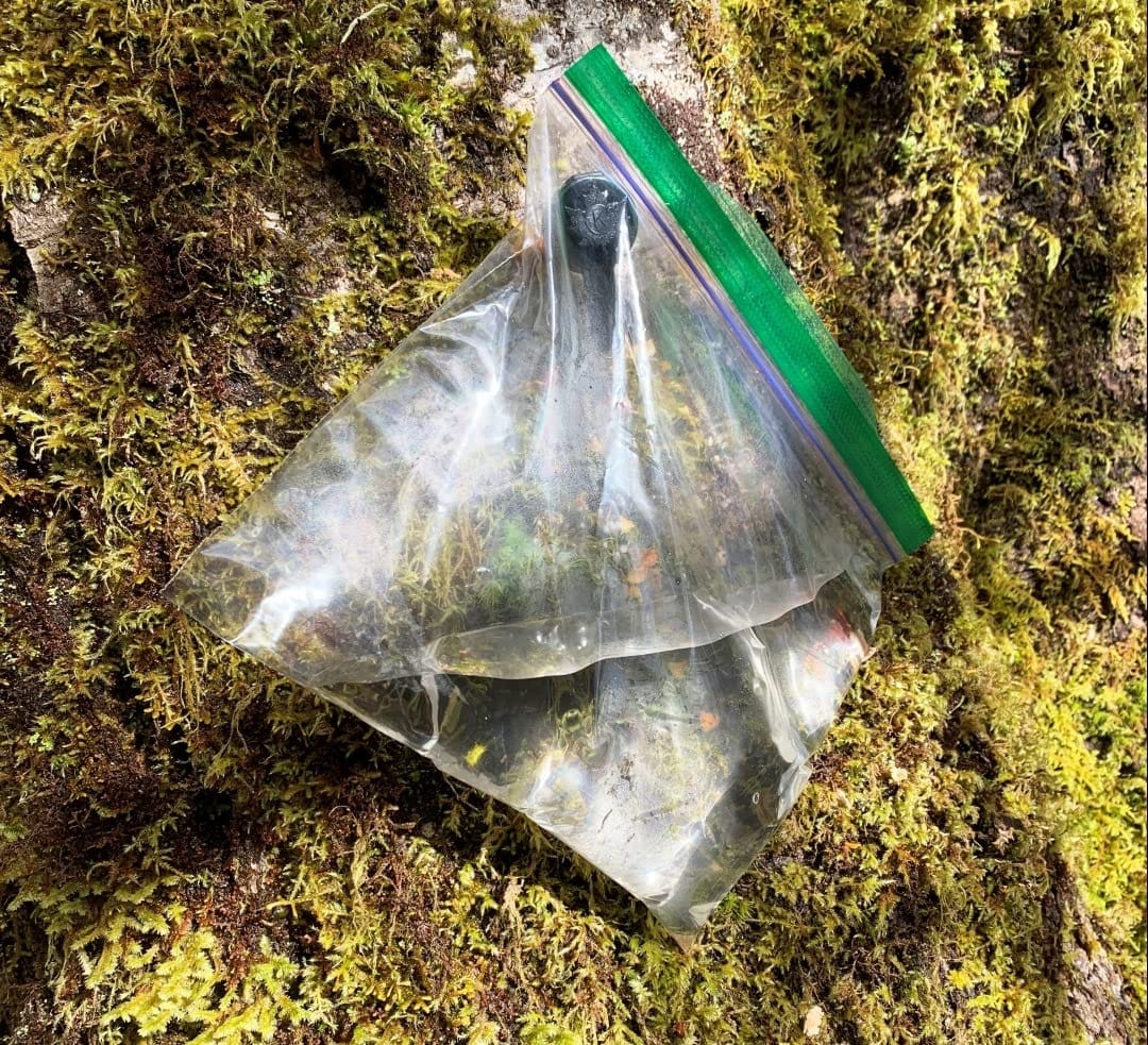 Sap Happy Maple Syrup Spiles (25 Count) - 5/16