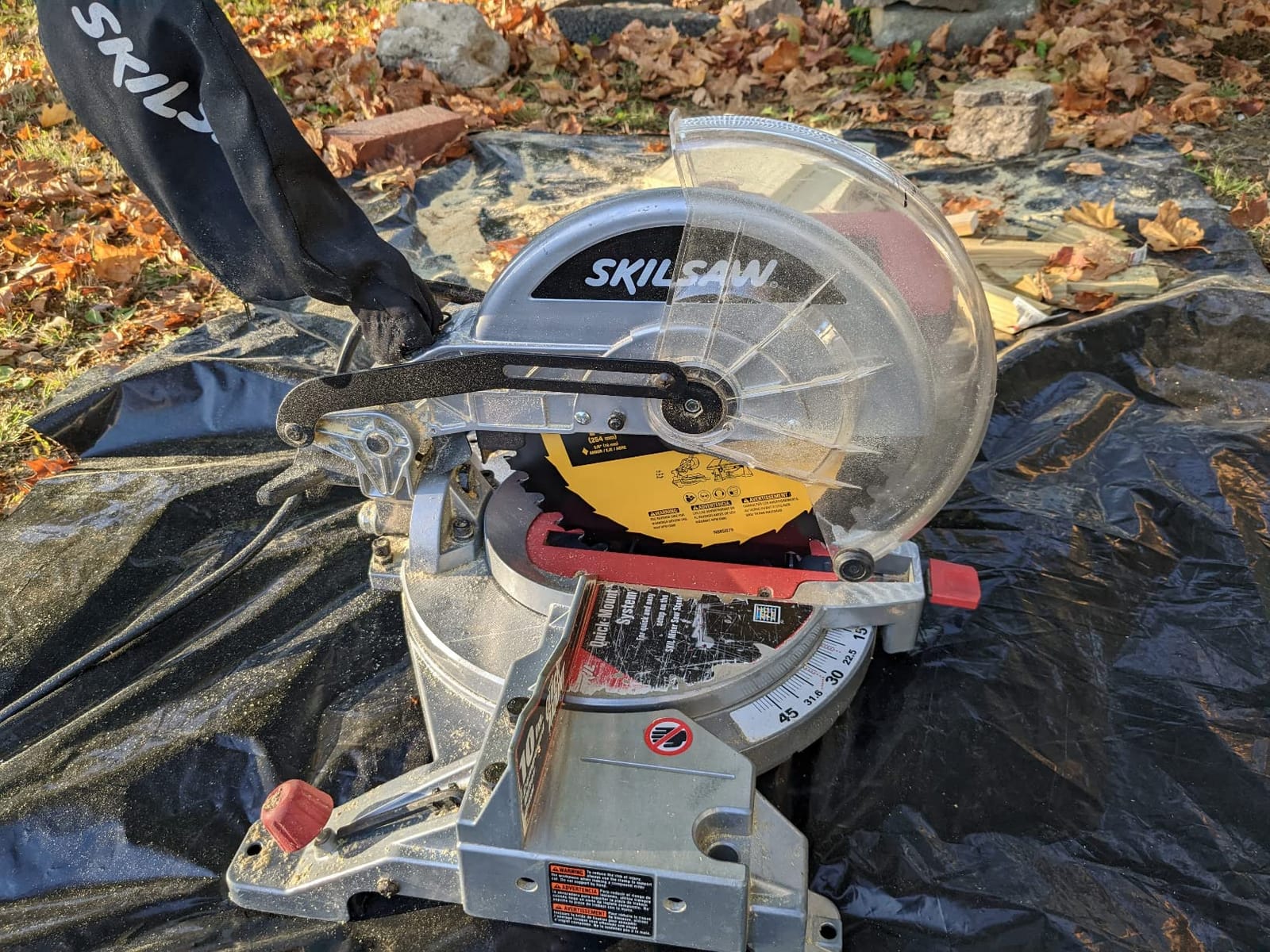 DEWALT Table Saw Blade, 10