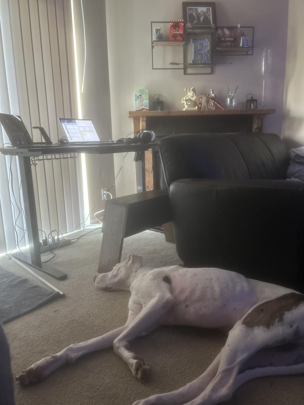 SHW 55-Inch Standing Desk customer photo 2