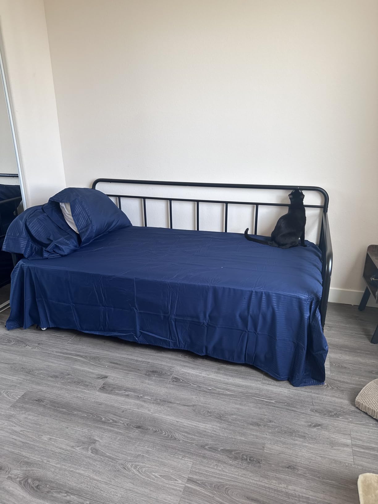 Amazon Basics Twin Daybed and Trundle Bed Frame Set, Space Saving Steel Slat Support, Easy Assembly, Twin Size, Black, 77.3 x 40 x 35.4 in customer photo 1