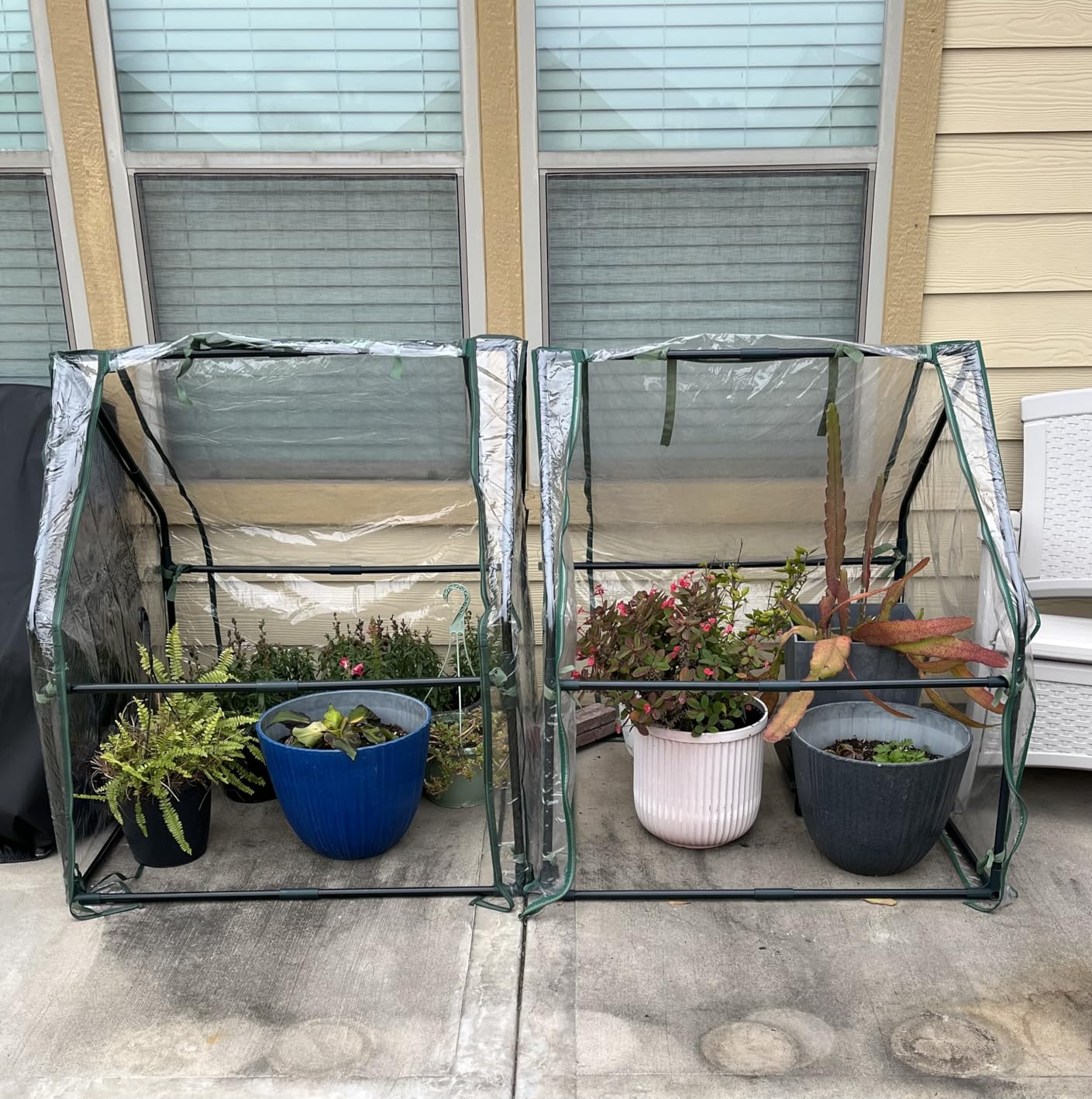 Gardzen Mini Greenhouse 36.2”(L) x36.2”(W) x42.5”(H) customer photo 1