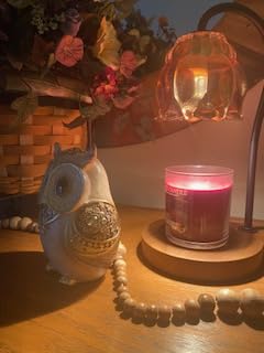 Smadeer Black and White Owl Statue, Small Resin Owl Boho Shelf Decor customer photo 2