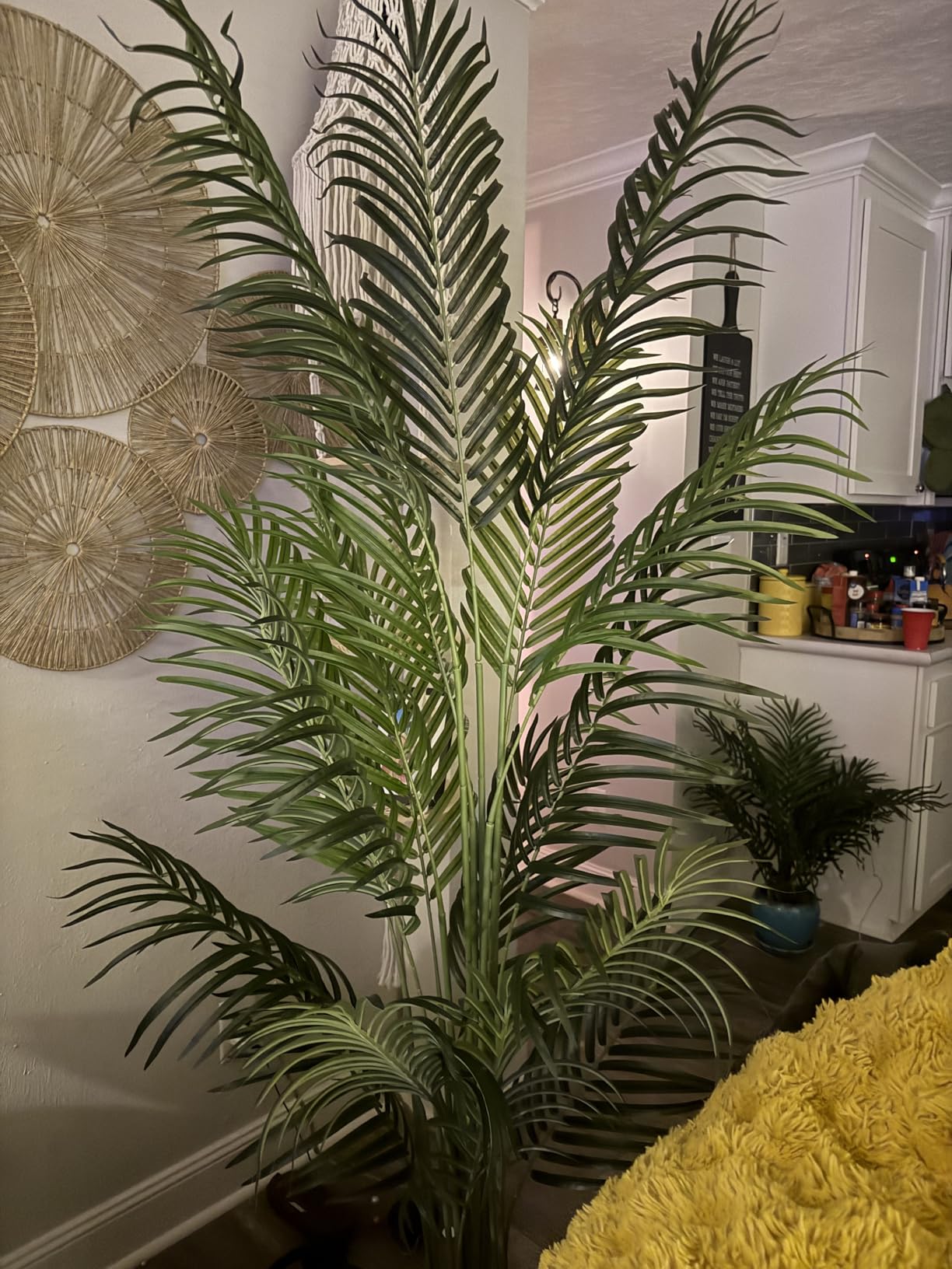5ft Artificial Palm Tree Indoor Plant Tall Fake Tropical Paradise Palm Tree in Pot with Real Bark Design Faux Areca Palm Tree for Home Office Living Room Bedroom Farmhouse Modern Decor 1pcs customer photo 2