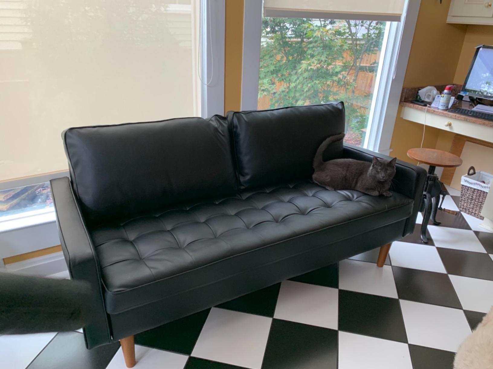 Container Furniture Faux Leather Sofa for the Modern Living Room with Removable Cushions and Solid Wood Legs, Luxury Style Button-Tufted Couch, 69.68
