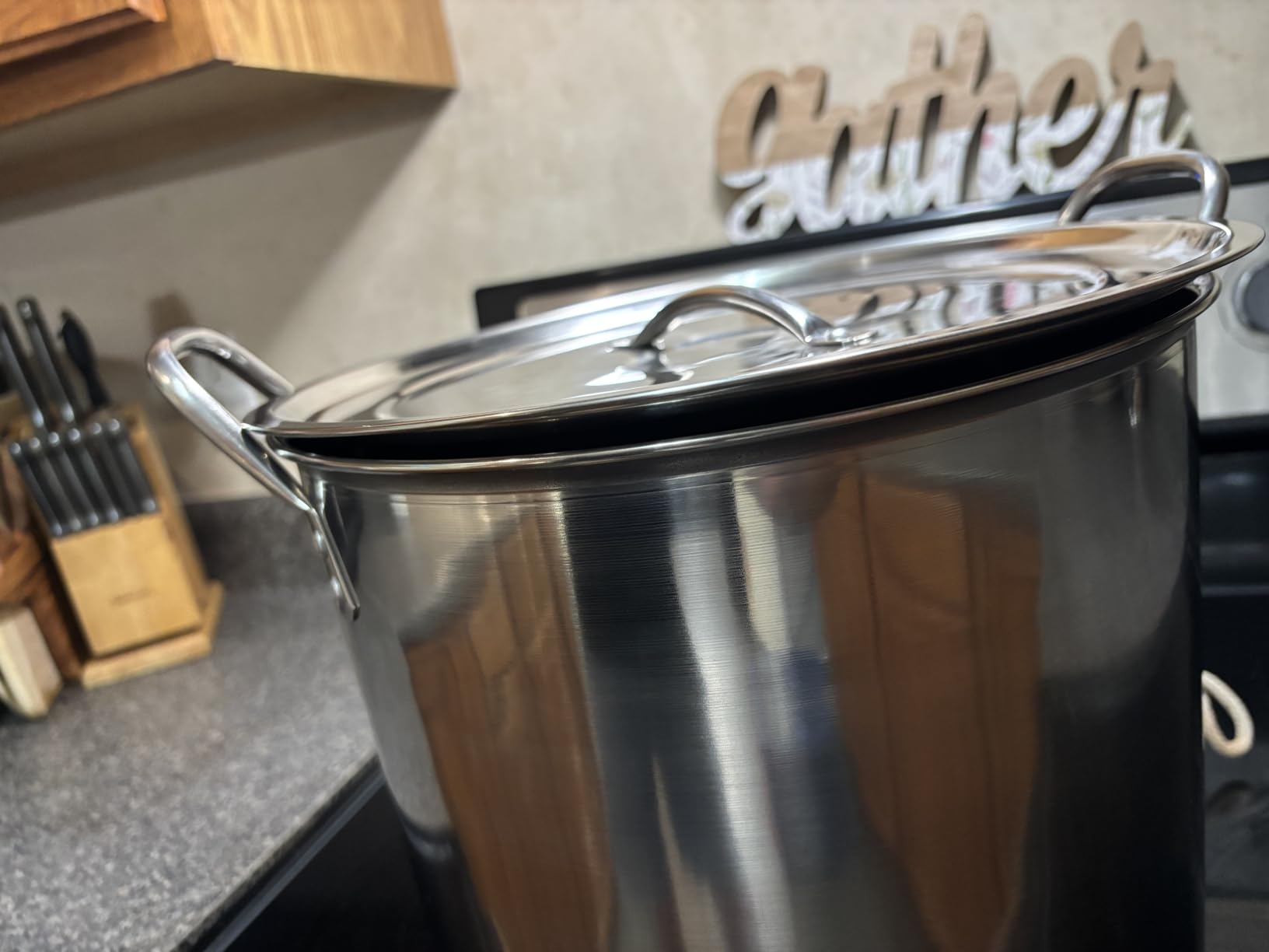 IMUSA Stainless Steel Stock Pot with Lid, 20 Quart, Silver customer photo 1