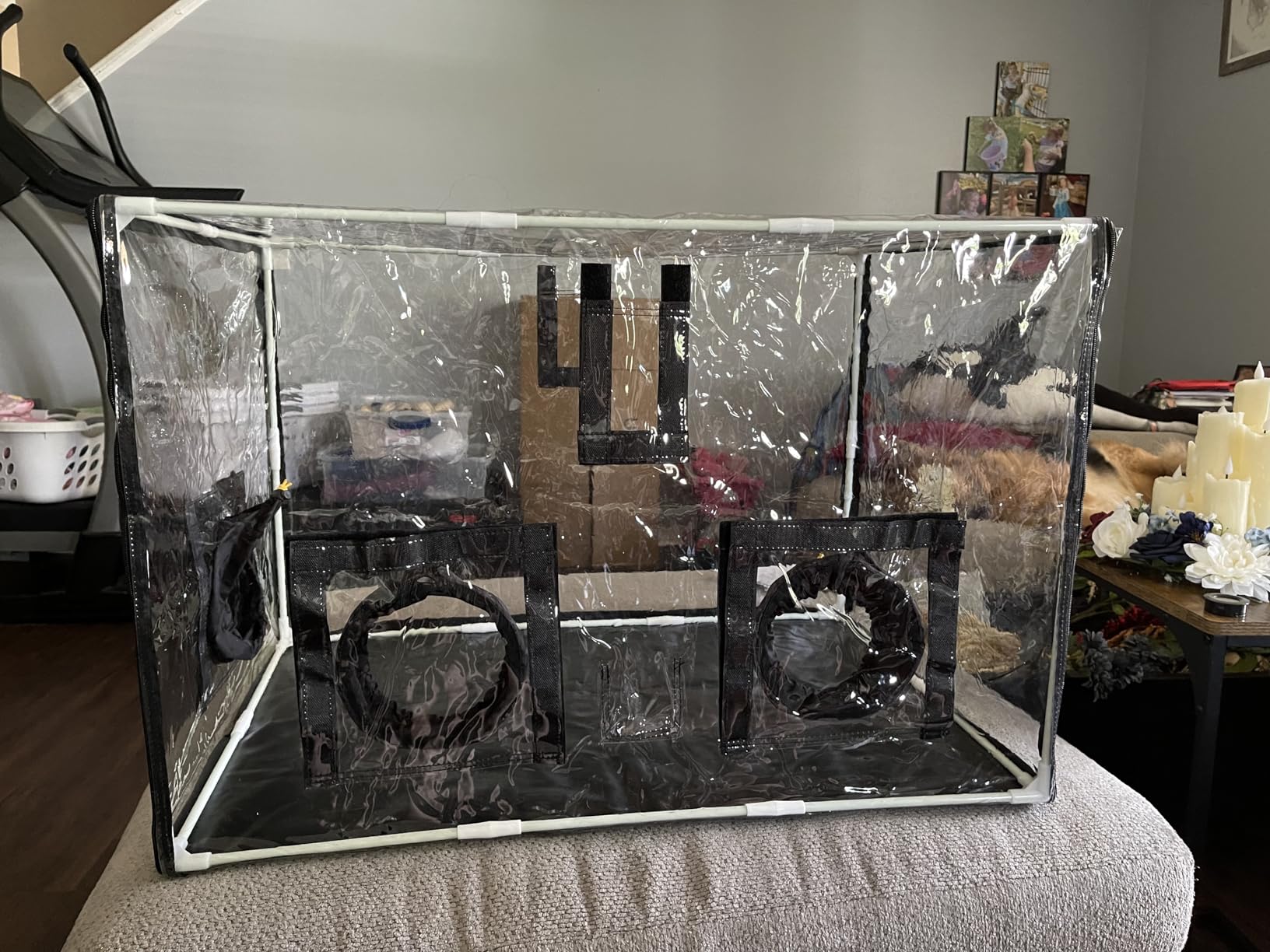 Large Still Air Box Mushroom Mycology Fume Hood Propagation StationsGrow Kit Mushroom Grow Bags Your Monotub Kit Mushroom Planting BagTent for Spores Horticulture Supplies （31.5 * 20.5 * 20.5inch） customer photo 1