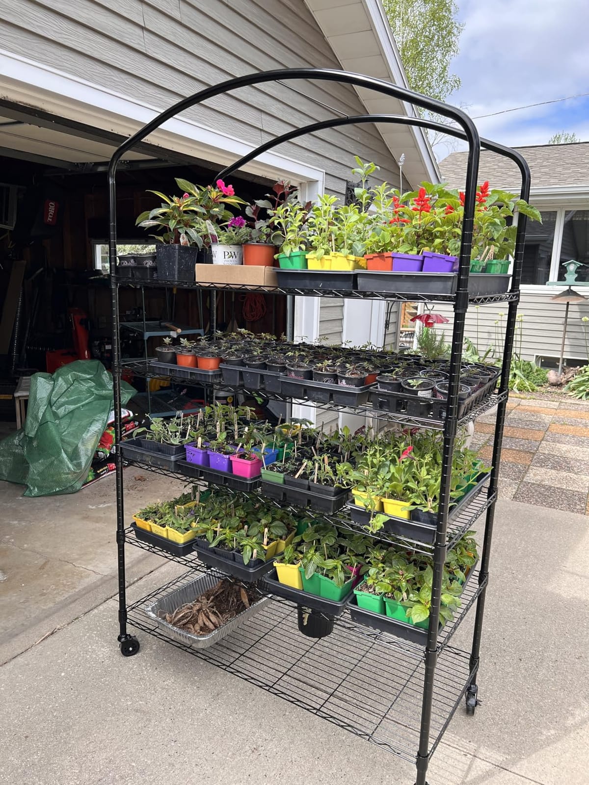 5-Tier Greenhouse with Caster Wheel, Shelf Height Adjustable Metal Shelf customer photo 1