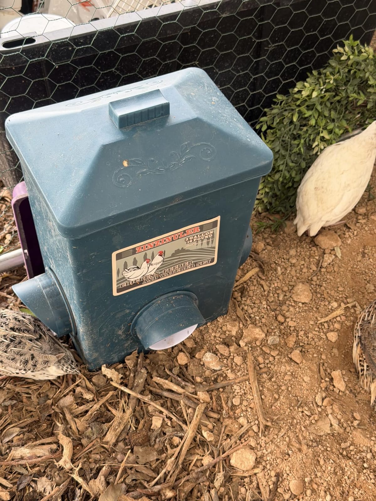 Automatic Port Chicken Feeder and Cup Waterer Set customer photo 2