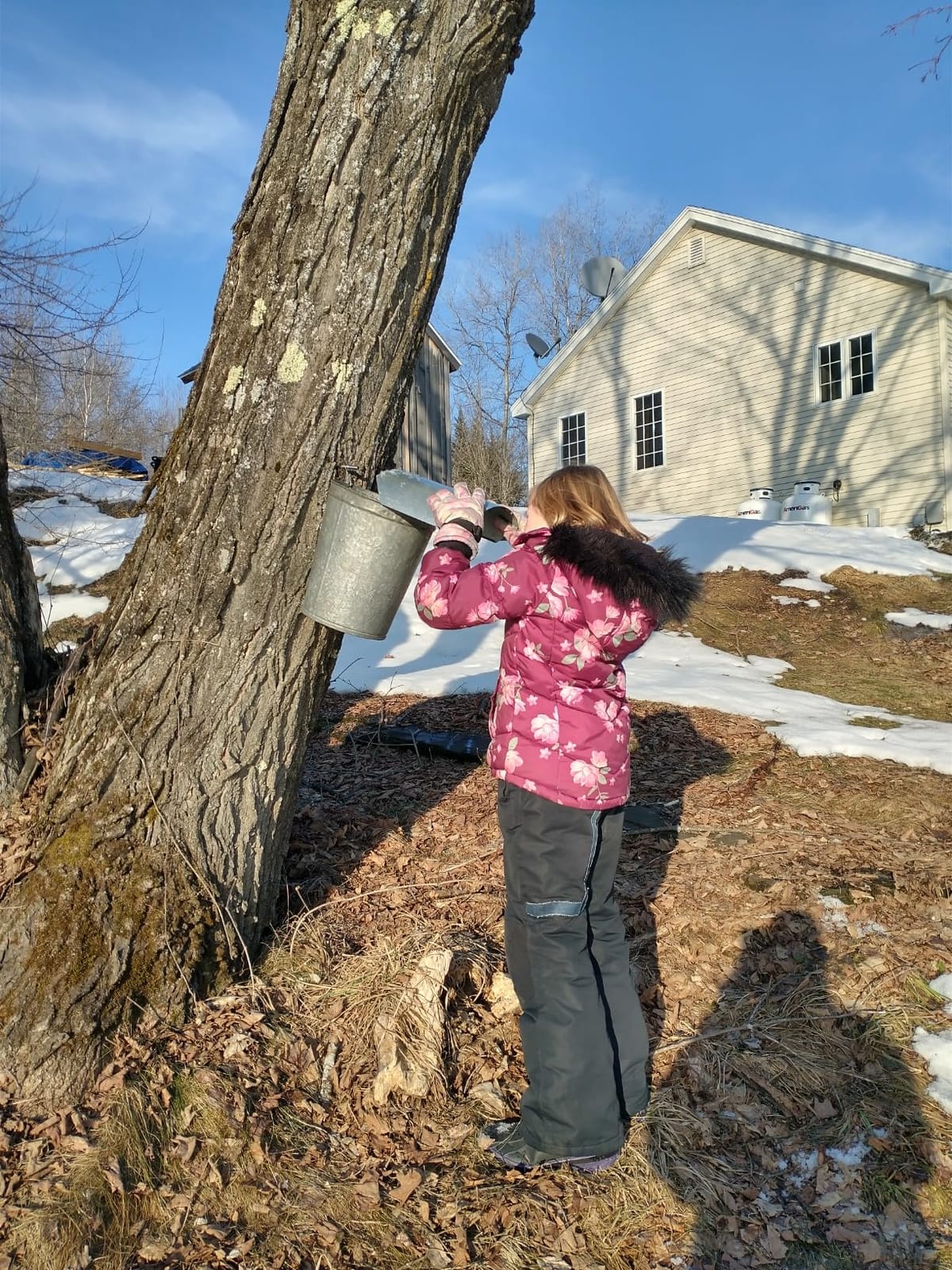 Stainless Steel Maple Syrup Taps Kit, Maple Tree Taps customer photo 2
