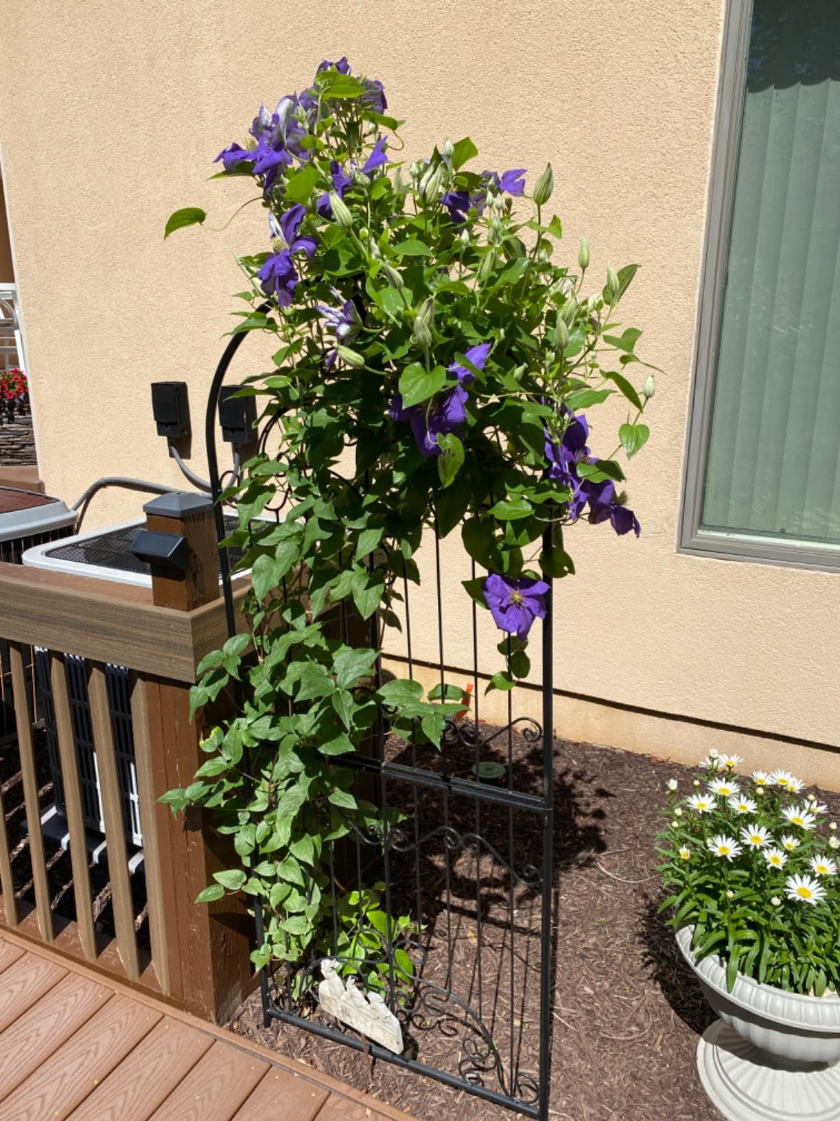 Garden Trellis for Climbing Plants 86.6