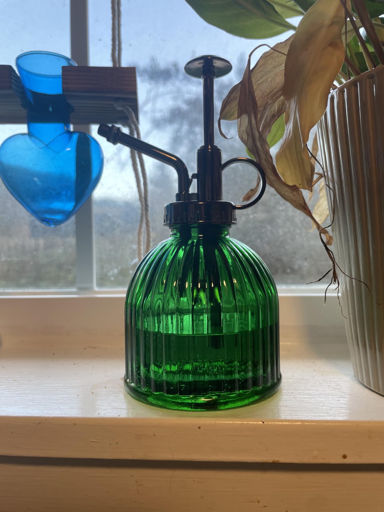 OFFIDIX Plant Mister Spray Bottle, Glass Mister for Indoor 6.7oz Dark Green customer photo 1