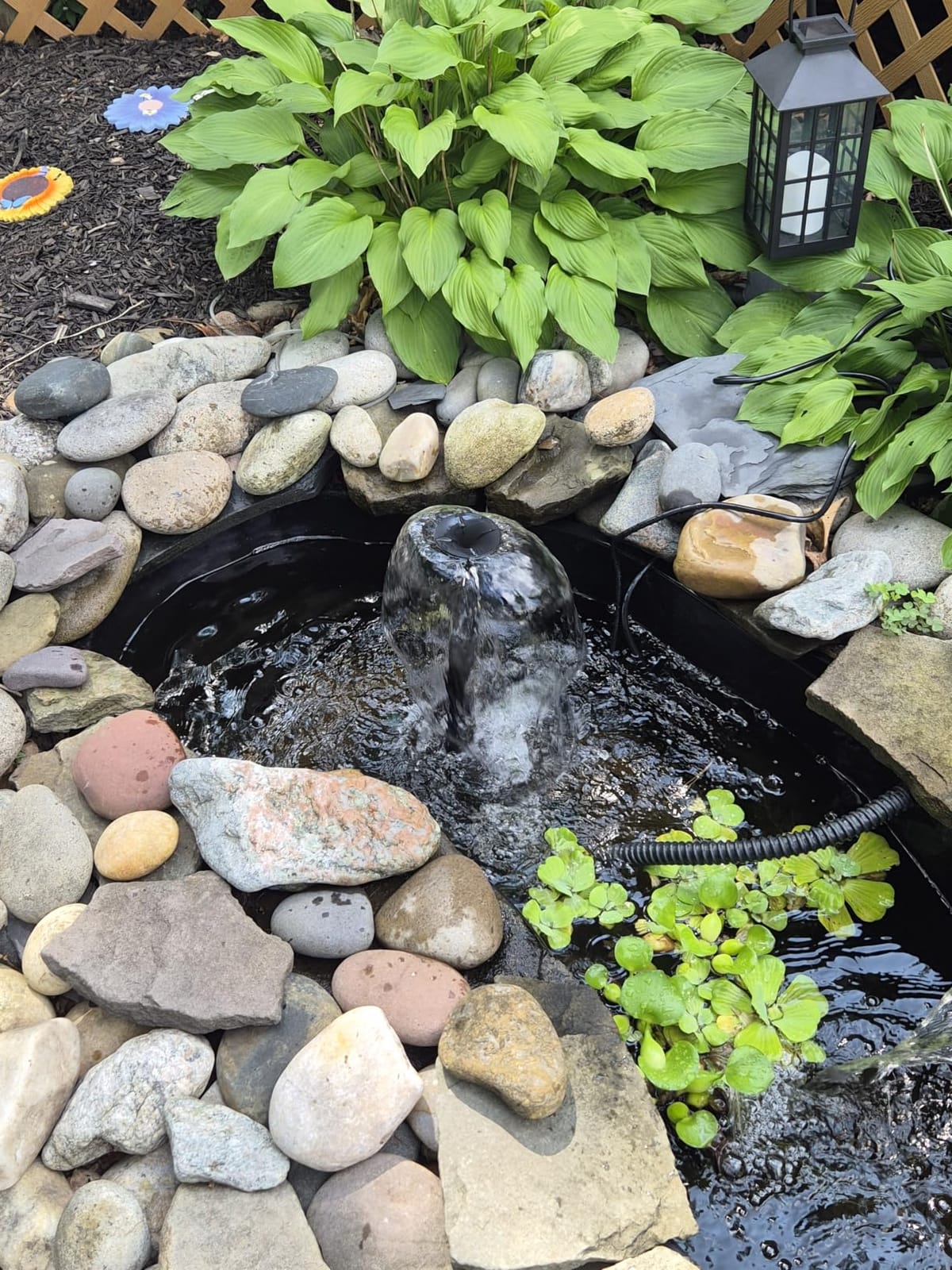 POPOSOAP Pond Filter with Pump Fountain Kits, 660GPH Pond Filter with 40W Pond Pump & Fountain Kit, Koi Pond Filters for Outdoor Ponds Clean, Clear, and Add Water Features(Corded Electric) customer photo 1