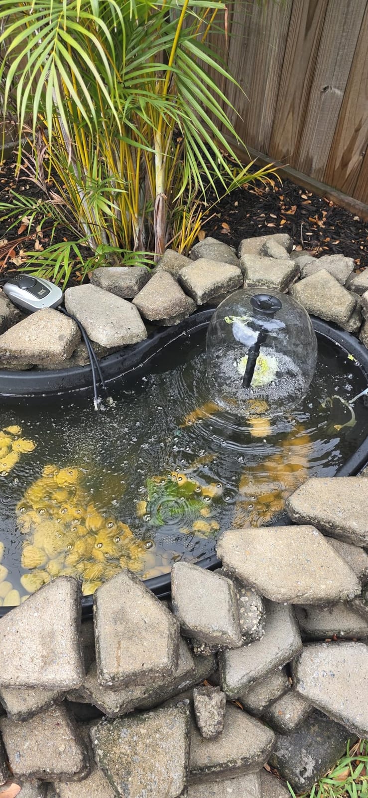 POPOSOAP Pond Filter with Pump Fountain Kits, 660GPH Pond Filter with 40W Pond Pump & Fountain Kit, Koi Pond Filters for Outdoor Ponds Clean, Clear, and Add Water Features(Corded Electric) customer photo 2