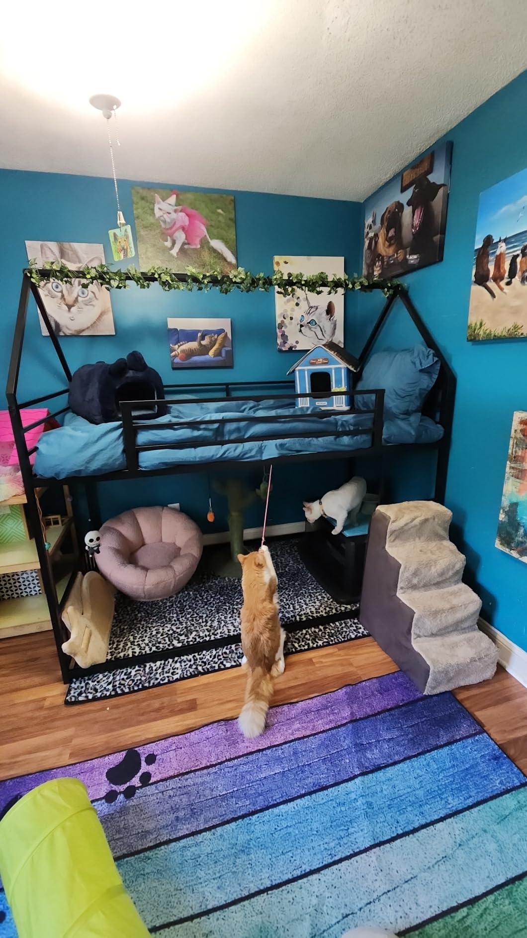 LIKIMIO Bunk Bed Twin Over Twin, House Bunk Bed Frame with Ladder, Black customer photo 2