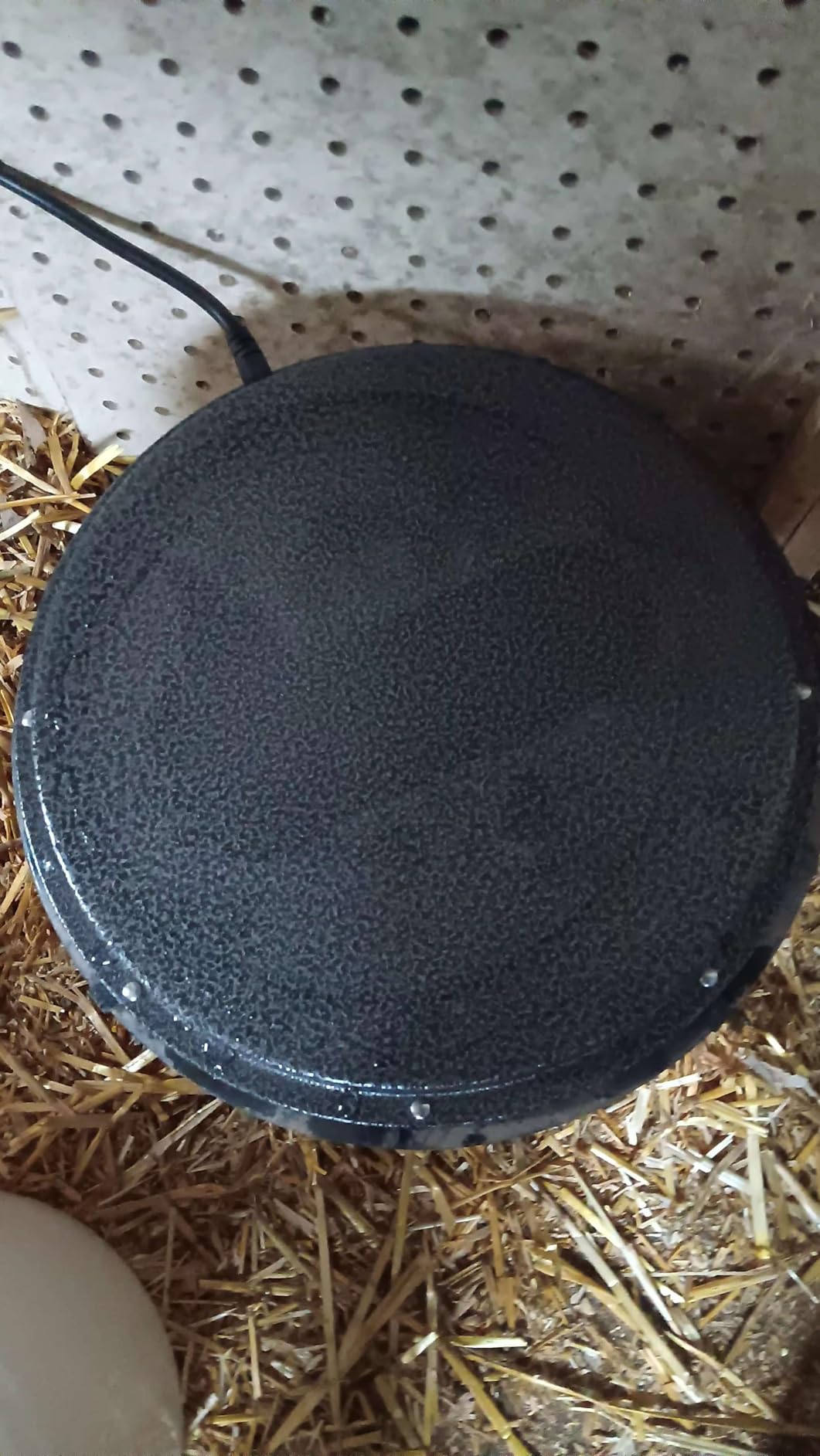 62W Metal Chicken Water Heater for Winter, 11'' Thermostat Chicken Waterer Heater Base for 1-5 Gallon Metal or Plastic Poultry Waterer, Outdoor Weatherproof Poultry Water Heaters for Turkey Goose Duck customer photo 2