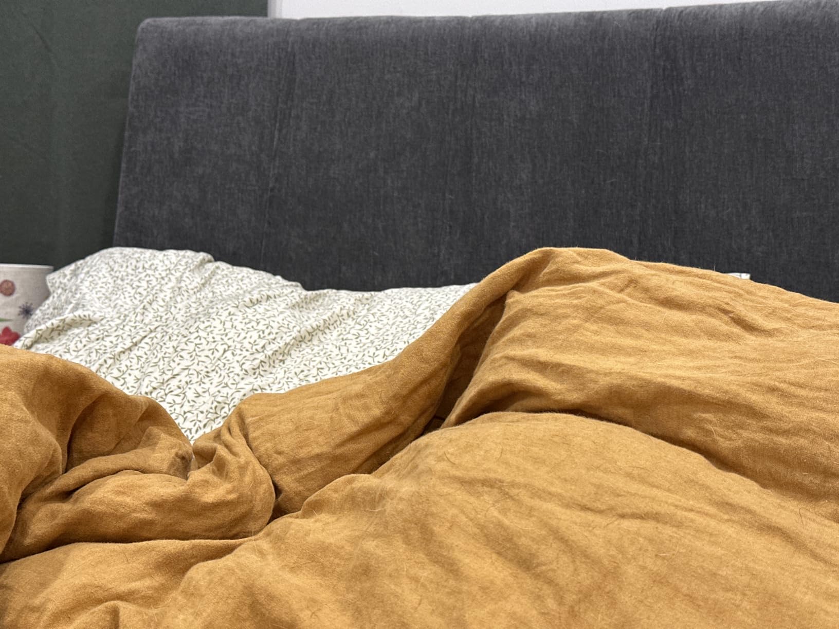 Queen Size Headboard Only-No Assembly Required, Beige customer photo 2