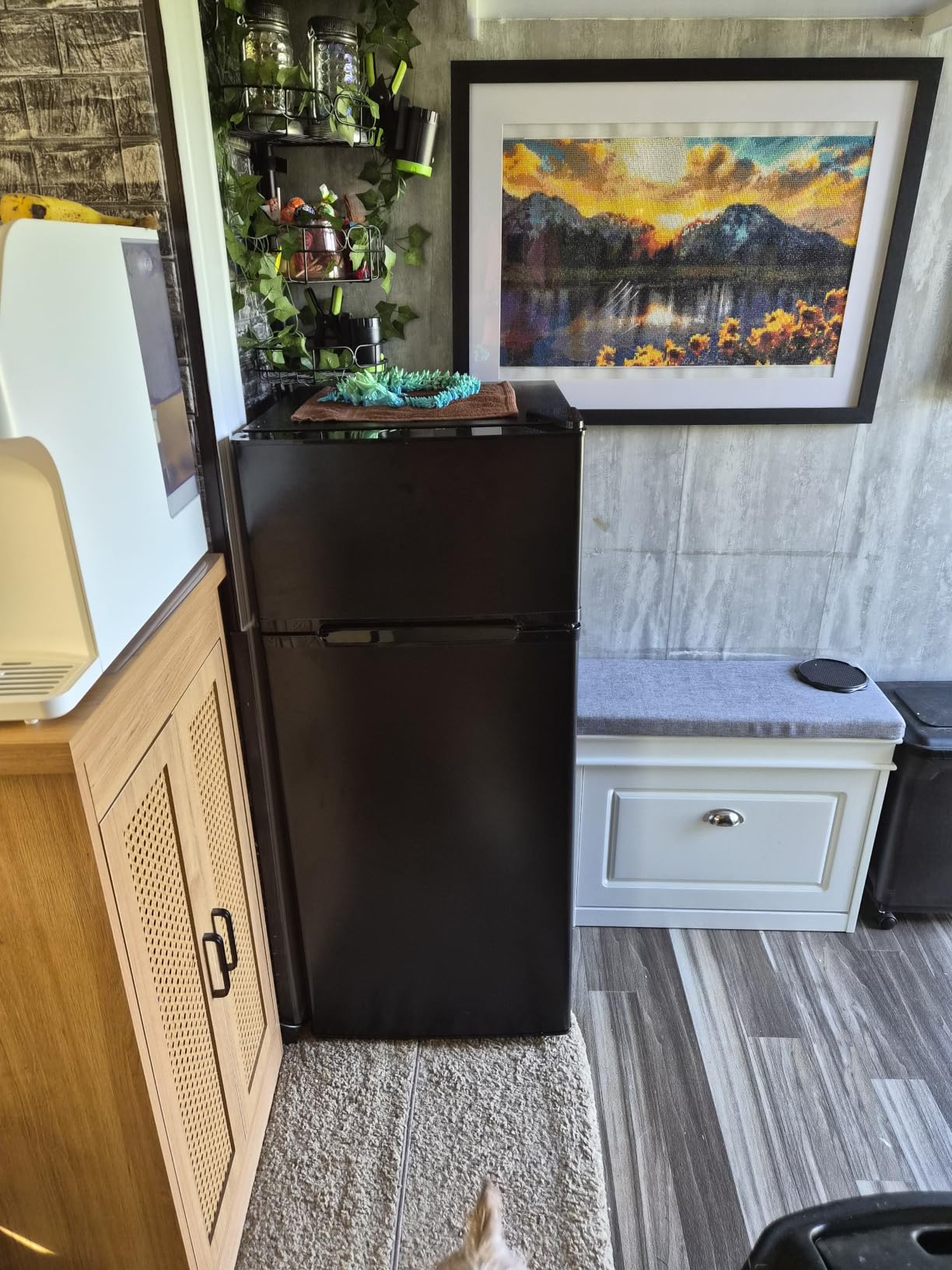 4.5 Cu.Ft Mini Fridge with Freezer, 2 Door Compact Refrigerator, Small Fridge with Adjustable Thermostat Energy Ultra Quiet, Mini Fridge Removable Glass Shelves for Bedroom Office Dorm-Satin Black customer photo 2