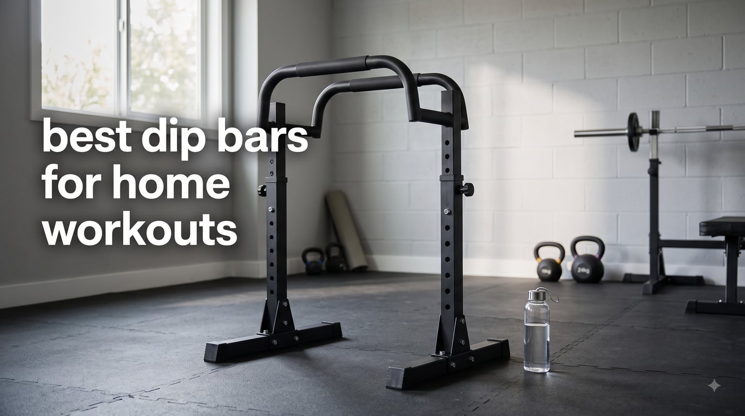 best dip bars for home workouts