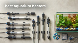 best aquariums heaters
