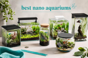 best nano aquariums