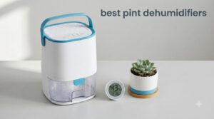 best pint dehumidifiers