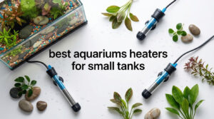 best aquariums heaters for small tanks
