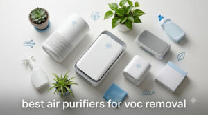 best air purifiers for voc removal