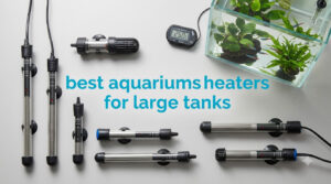 best aquariums heaters for large tanks