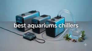 best aquariums chillers